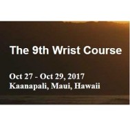 9th Wrist Course 9th Wrist Course