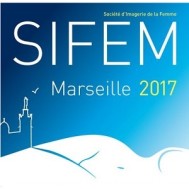 SIFEM 2017 SIFEM 2017