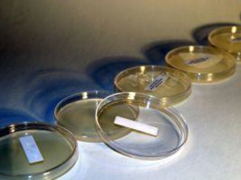 Where MRSA Colonises on the Human Body: Study Identifies Quantity and ...