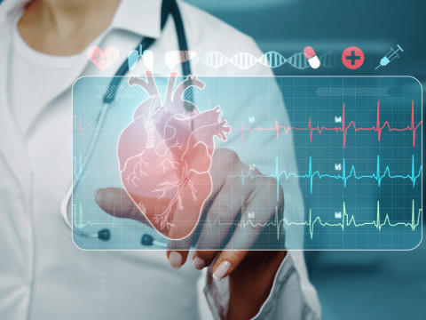 The Dual Role of LLMs in Shaping Cardiovascular Care