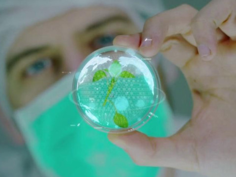 Embedding Sustainability in Cancer Imaging and Care