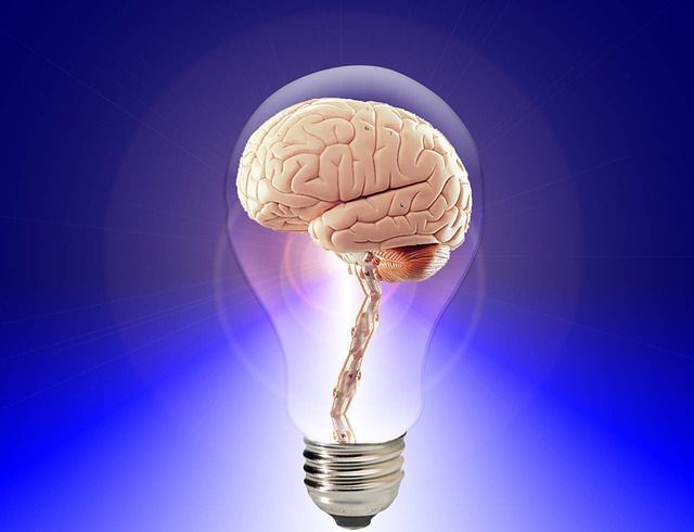 Brain Rewires Itself After Damage Or Injury, Life Scientists Discover Brain Rewires Itself After Damage Or Injury, Life Scientists Discover