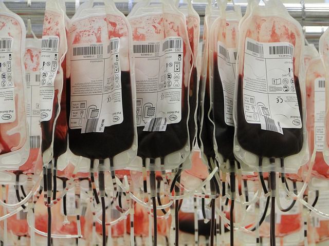 Research Shows Improvement in Survival Rates for Patients Receiving Blood Stem Cell Transplants Research Shows Improvement in Survival Rates for Patients Receiving Blood Stem Cell Transplants