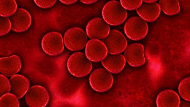 MRSA Infections Cut by More than 40 Percent in Study of Over 74,000 ICU patients in the U.S. MRSA Infections Cut by More than 40 Percent in Study of Over 74,000 ICU patients in the U.S.