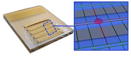 New Technology Allows Fast, Reliable Pathogen Identification New Technology Allows Fast, Reliable Pathogen Identification