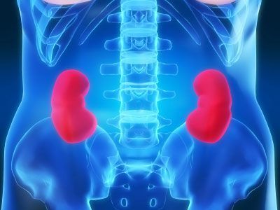 Robotic Ultrasound Has Added Benefit in Removing Kidney Cancers Robotic Ultrasound Has Added Benefit in Removing Kidney Cancers