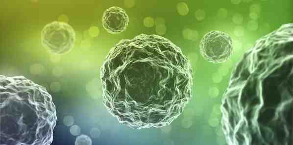 Infection Prevention Reduces Risk of Death, Costs of Care Infection Prevention Reduces Risk of Death, Costs of Care