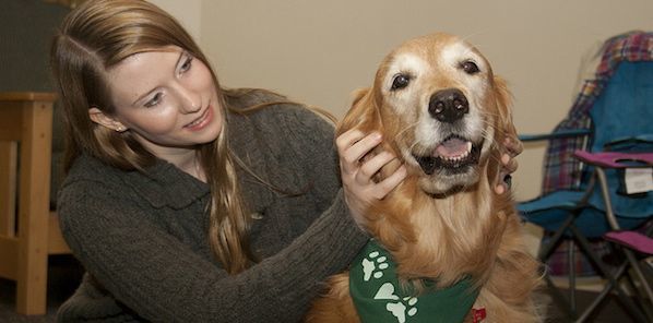 Pet Therapy For Hospital Employee Stress Pet Therapy For Hospital Employee Stress