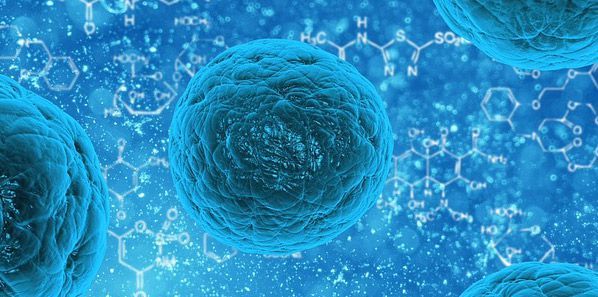 Stem Cells May Help in Stroke Recovery Stem Cells May Help in Stroke Recovery