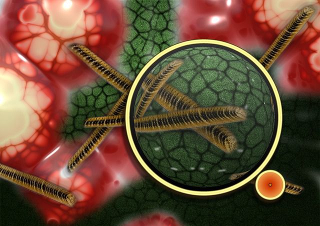 Scientists Uncover How Superbug Fights Off Antibiotic Scientists Uncover How Superbug Fights Off Antibiotic