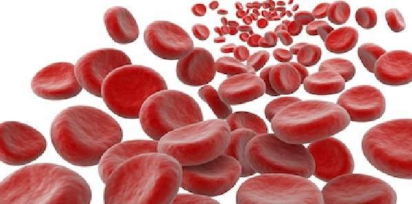 Old Blood as Good as Fresh Old Blood as Good as Fresh