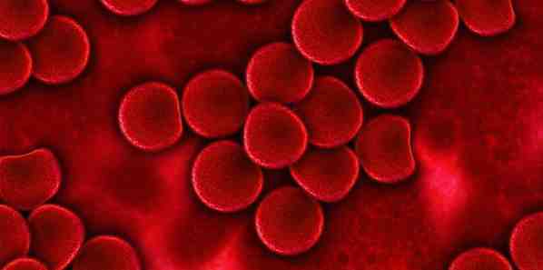Study: Effective Transfusion in Severe Trauma Study: Effective Transfusion in Severe Trauma