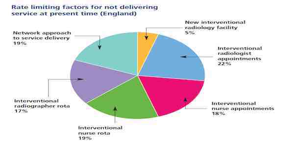CIRSE 2014: The Ideal Interventional Radiology Service CIRSE 2014: The Ideal Interventional Radiology Service