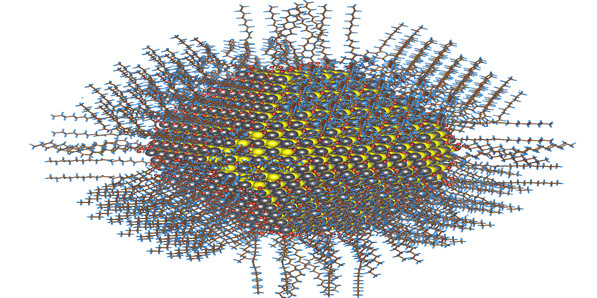 Creating Medical Nanorobots Creating Medical Nanorobots