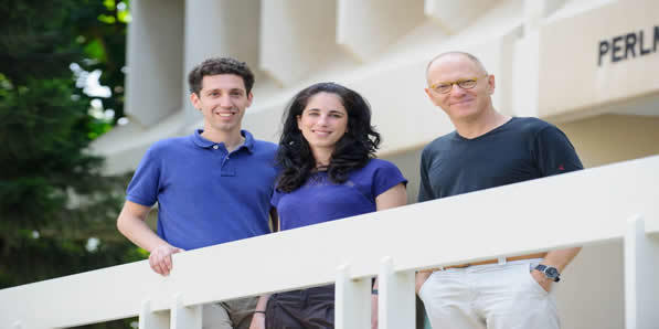 Scientists Create Artificial Network-Like Cell System Scientists Create Artificial Network-Like Cell System