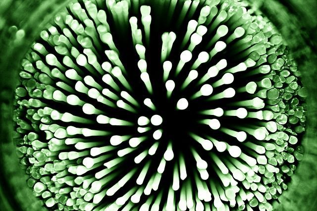 Bacteria Communicate to Help Each Other Resist Antibiotics Bacteria Communicate to Help Each Other Resist Antibiotics