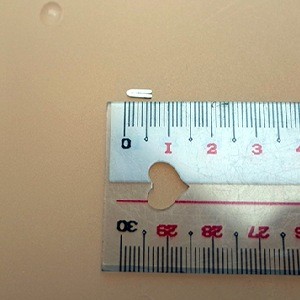 Surgical clip that dissolves and is absorbed by the body Surgical clip that dissolves and is absorbed by the body