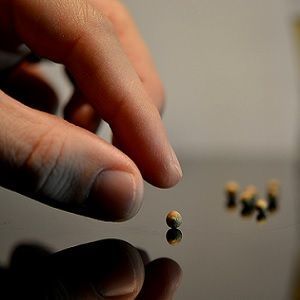 the placebo effect the placebo effect