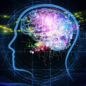 insulin resistance linked to memory loss insulin resistance linked to memory loss