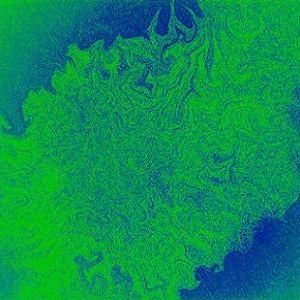 false colour light micrograph of C. difficile false colour light micrograph of C. difficile