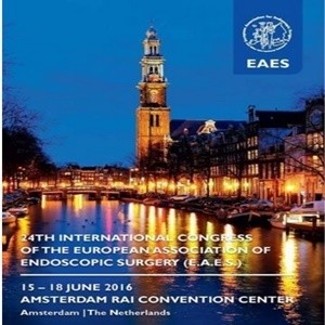 EAES 2016-24th International Congress of the EAES EAES 2016-24th International Congress of the EAES