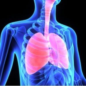 lung graphic lung graphic
