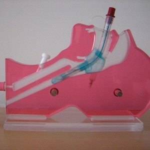 Model of laryngeal tube Model of laryngeal tube