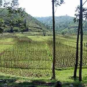 Rwanda landscape, credit Pixabay Rwanda landscape, credit Pixabay