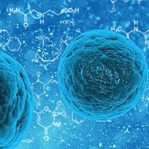 Stem Cell Patch Improves Heart Failure Symptoms Stem Cell Patch Improves Heart Failure Symptoms