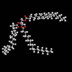 A New Cause of High Plasma Triglycerides A New Cause of High Plasma Triglycerides