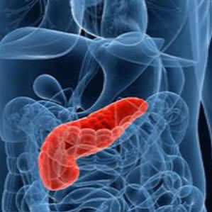 Imaging Modalities in Pancreatic Cancer Diagnosis Imaging Modalities in Pancreatic Cancer Diagnosis