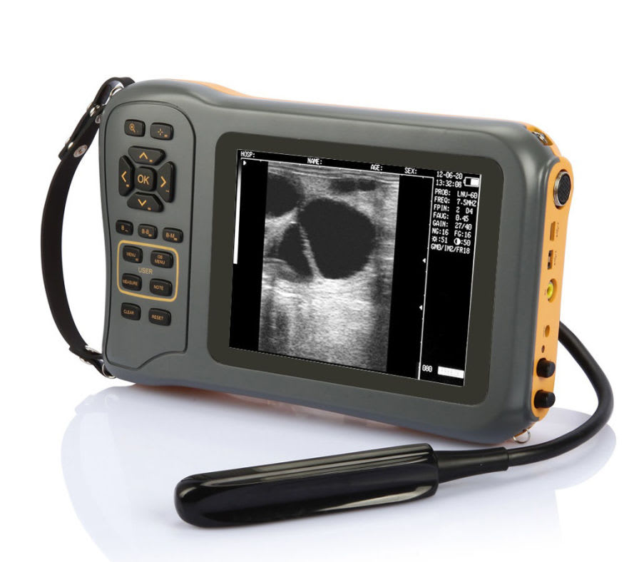 FarmScan L60 Handheld Veterinary Ultrasound Machine