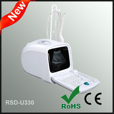 Portable Ultrasonic Diagnostic System