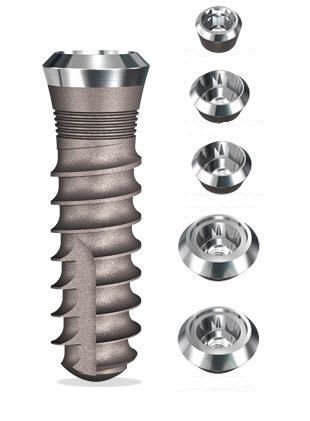 Cylindrical dental implant / internal octagon SwishPlus Implant Direct Europe AG
