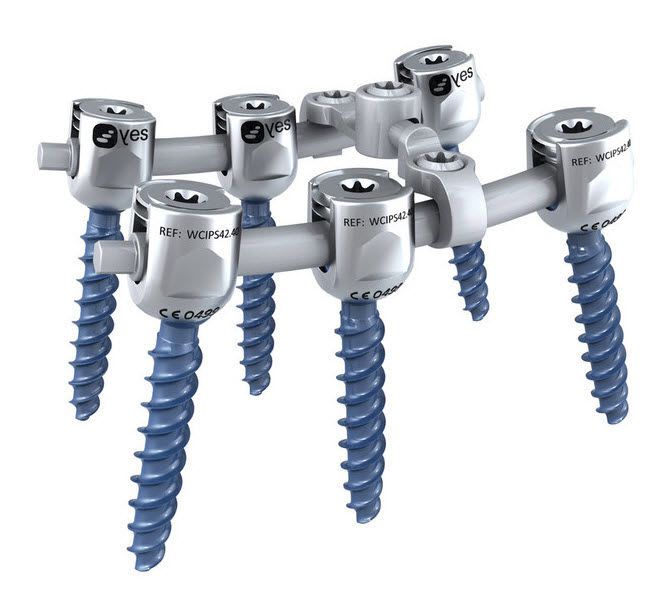 Monoaxial pedicle screw / not absorbable WECAN YELLOWSTEPS