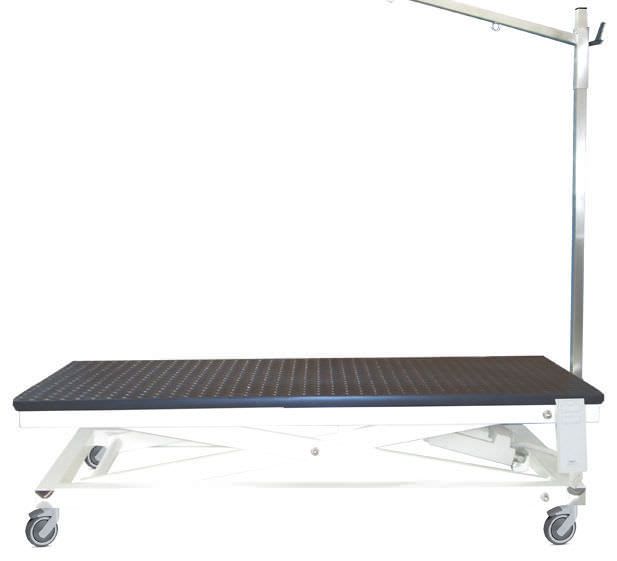 Lifting grooming table / electrical TAVPET003 Lory Progetti Veterinari