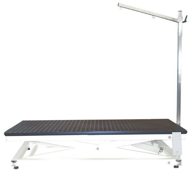 Lifting grooming table / electrical TAVPET001 Lory Progetti Veterinari