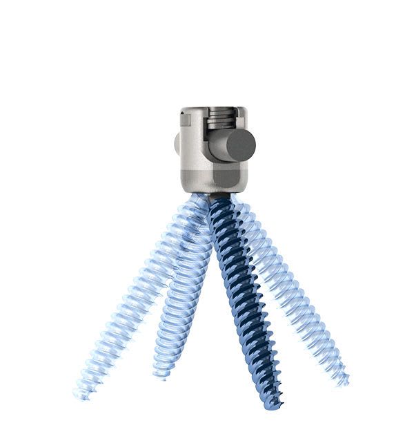 Polyaxial pedicle screw / not absorbable EVEREST® K2M