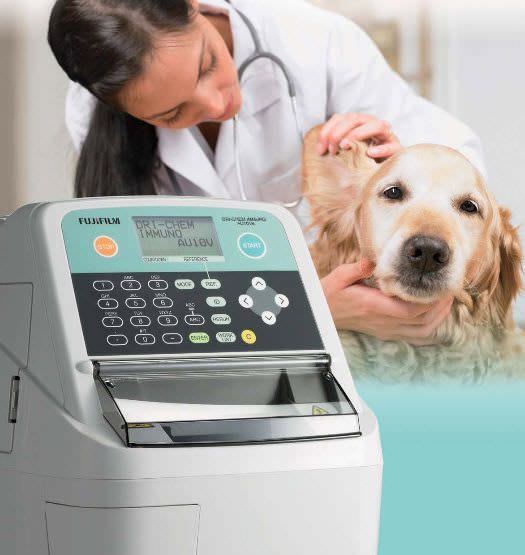 Automatic immunoassay analyzer / veterinary DRI-AU10V FUJIFILM Europe