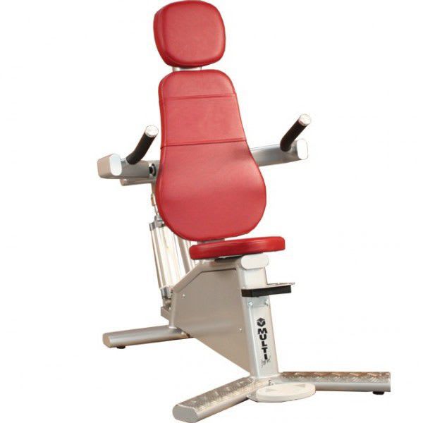 Weight training station (weight training) / seated dips / traditional R53 Multiform?