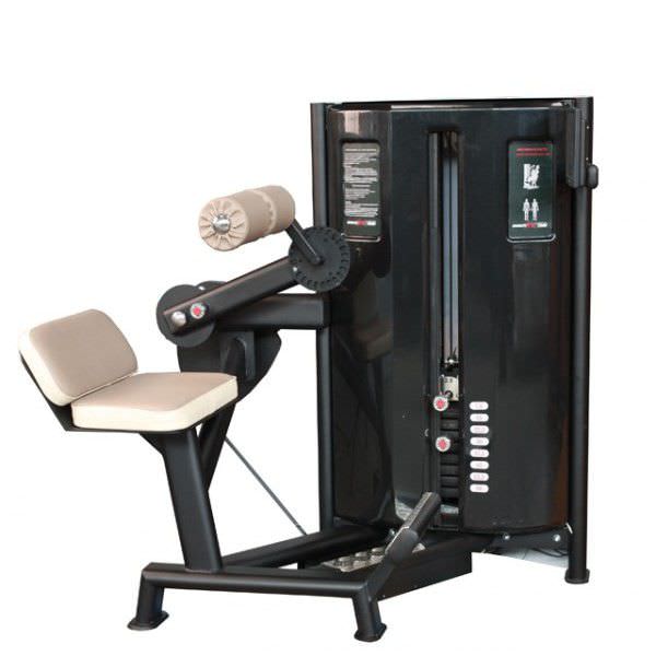 Weight training station (weight training) / back extension / traditional XC62 Multiform?