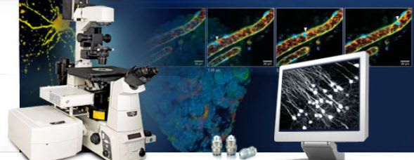 Laboratory microscope / multiphoton laser scanning / confocal A1R MP Nikon Instruments Europe BV