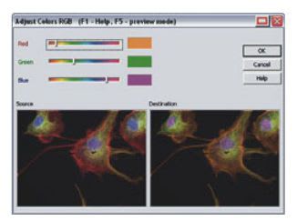 Analysis software / viewing / for archiving / medical NIS-Elements Br Nikon Instruments Europe BV