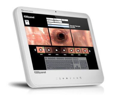 Endoscopy display / surgical FusePanel™ EndoChoice