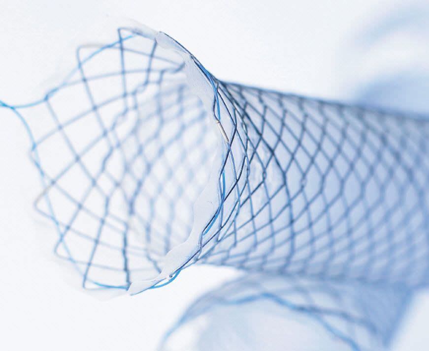 Esophageal stent BONASTENT® EndoChoice