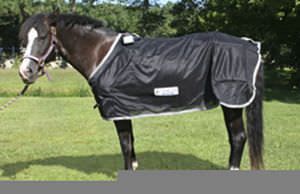 Magnetic field generator (physiotherapy) / for equines Pony-Pulse Respond Systems