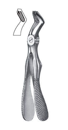 English pattern dental extraction forceps / pediatric 02-431-3S ALLSEAS