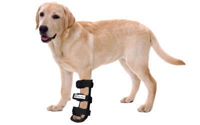 Ankle veterinary splint / dog Dog Splint Walkin' Wheels