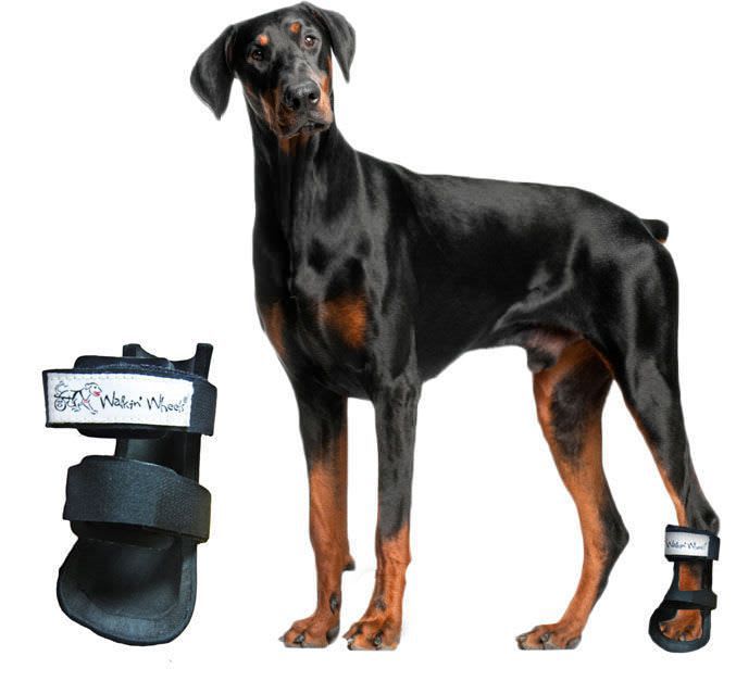 Dog veterinary splint Bootie Splint Walkin' Wheels