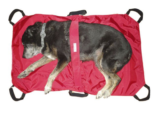 Transfer mattress / veterinary pet transport Walkin' Wheels